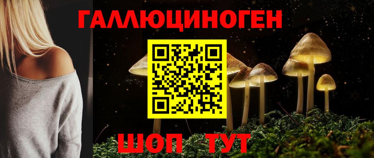 Псилоцибиновые грибы прущие грибы Азнакаево