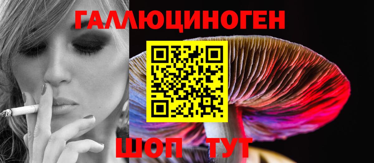Галлюциногенные грибы прущие грибы  Галлюциногенные грибы Psilocybe  Азнакаево  Вход с VPN 